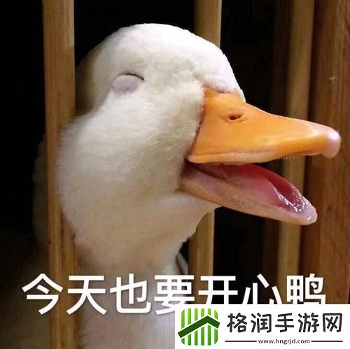 抖音抓鸭子表情包分享