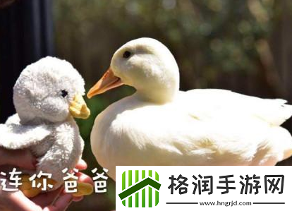 抖音抓鸭子表情包分享