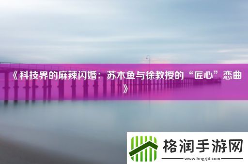 科技界的麻辣闪婚