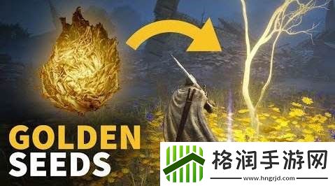 艾尔登法环黄金种子位置图