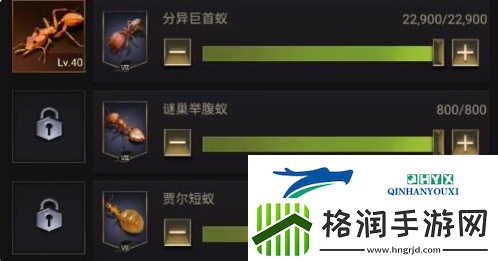 小小蚁国兵蚁怎么培养