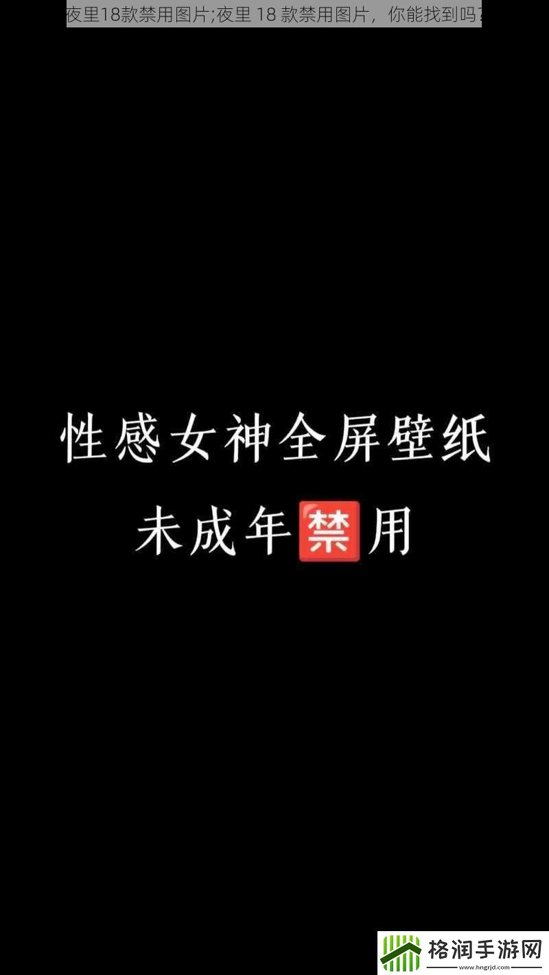 夜里18款禁用图片;夜里