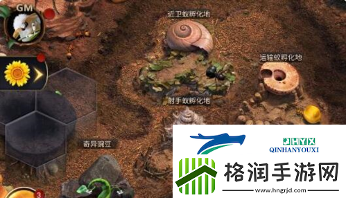 小小蚁国兵蚁怎么培养