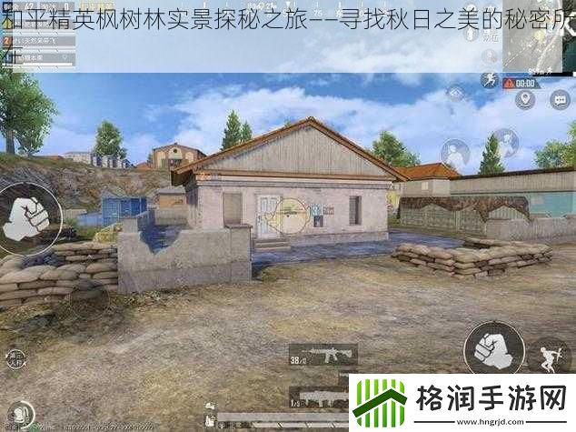 和平精英枫树林实景探秘之旅——寻找秋日之美的秘密所在