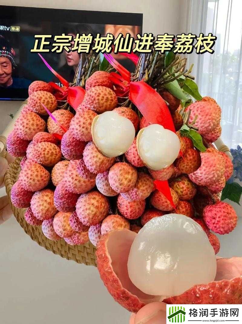 荔枝视频在线观看播放