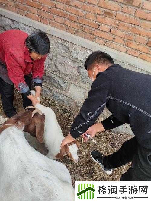 人马畜禽共性关系的重要性视频