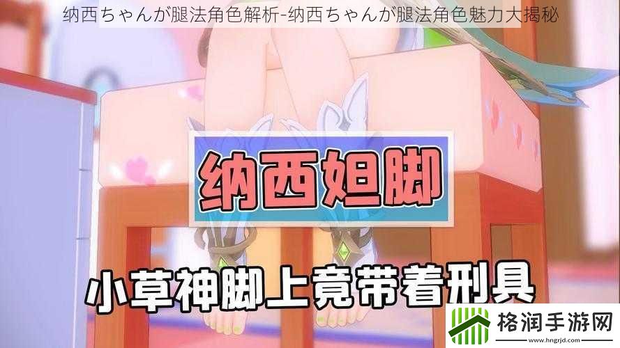 纳西ちゃんが腿法角色解析