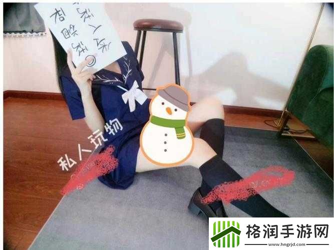 私人玩物在线视频免费观看