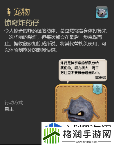 开放世界探索技巧