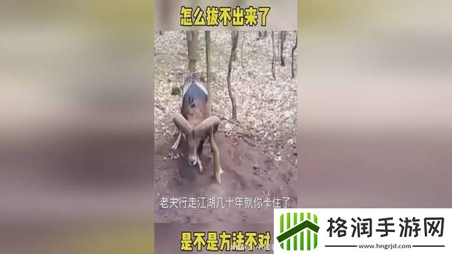 老师下面太紧拔不出来怎么办