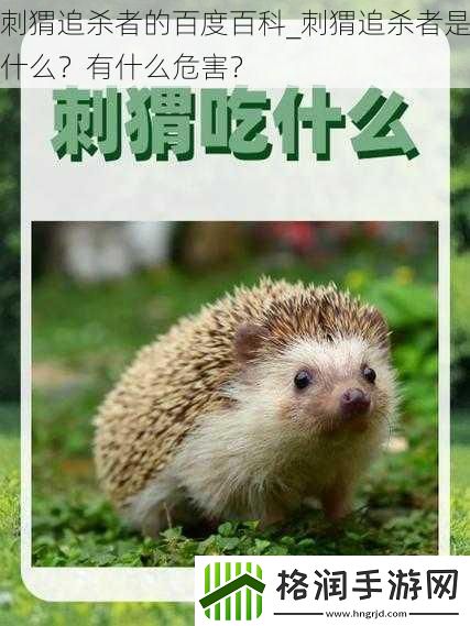 刺猬追杀者的百度百科