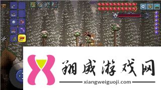 迷失岛1红色箱子是一周目吗深入分析迷失岛系列的箱子机制和玩法