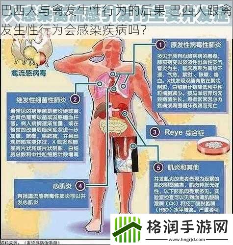 巴西人与禽发生性行为的后果