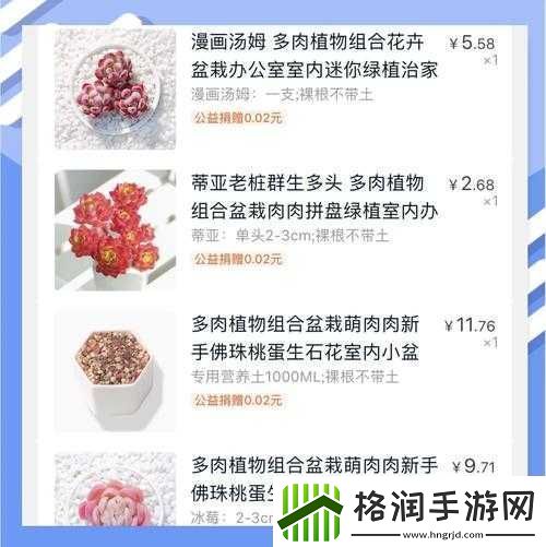 皇家共享小公主多肉的养护技巧