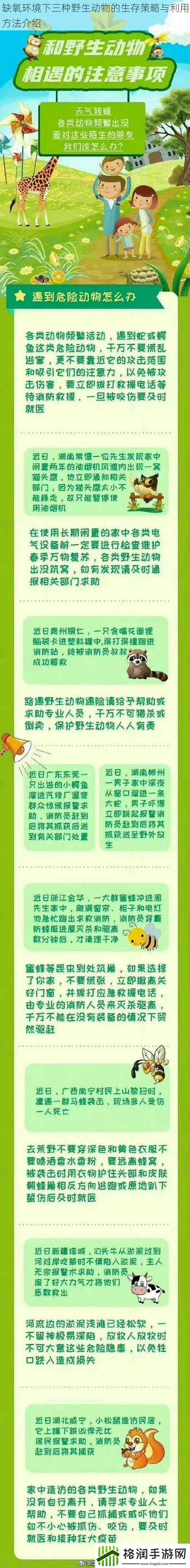缺氧环境下三种野生动物的生存策略与利用方法介绍