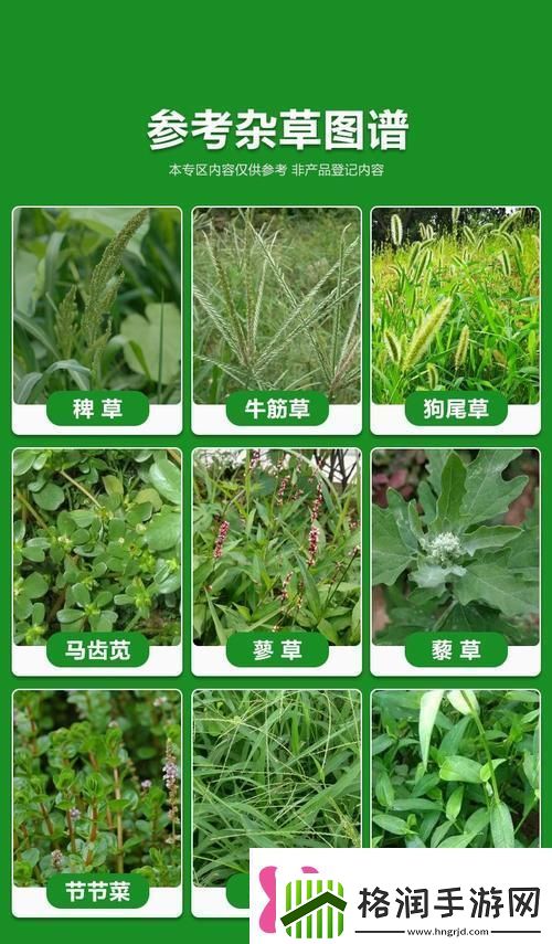 探索嫩草精产一二三产区的独特魅力与发展潜力