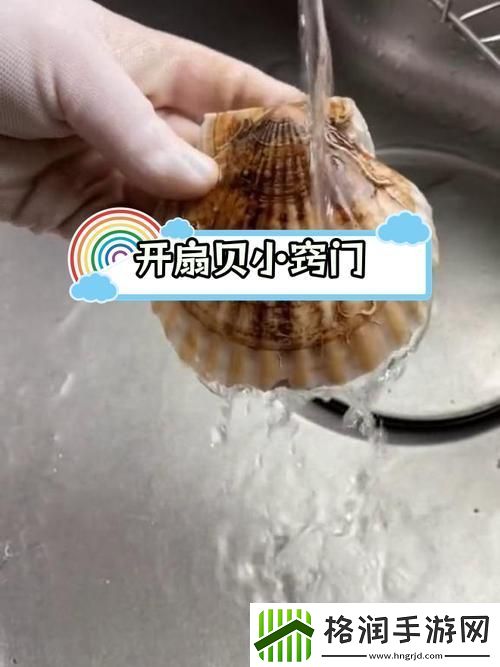 宝贝你的扇贝开了