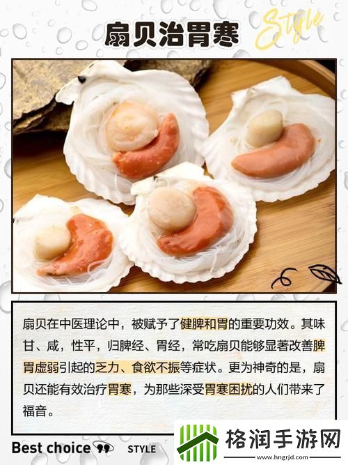 宝贝你的扇贝开了让我们一起探索海洋的美丽