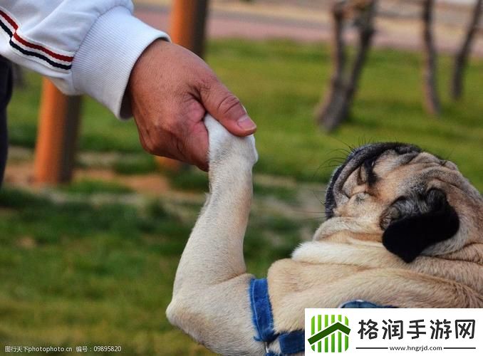 人类戏精VS鸟界大佬