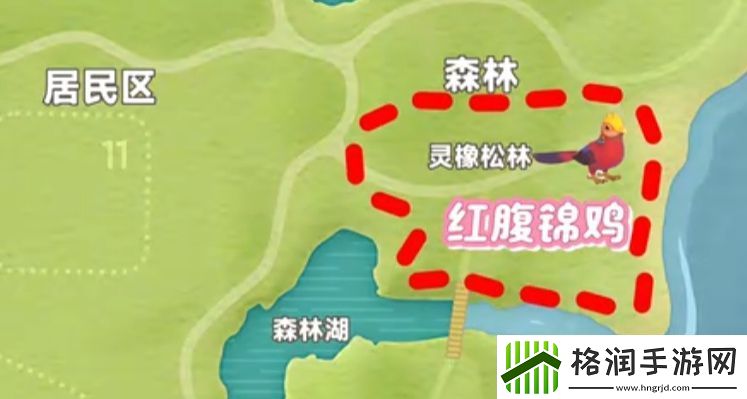 心动小镇新春季第3周4只鸟位置