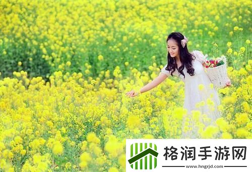 二人扑克牌全过程免费软件