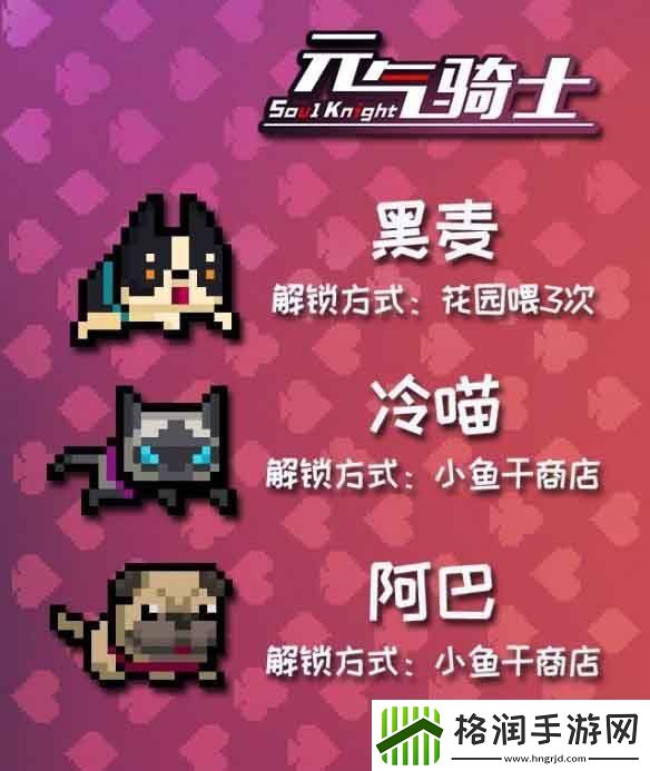 元气骑士柯基黑麦皮肤获取攻略