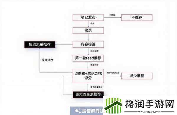 小红书SEO排名优化