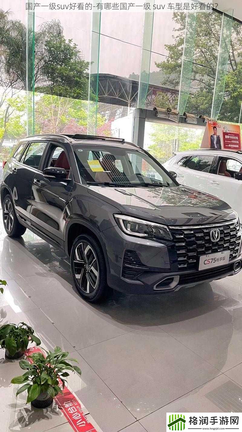 国产一级suv好看的