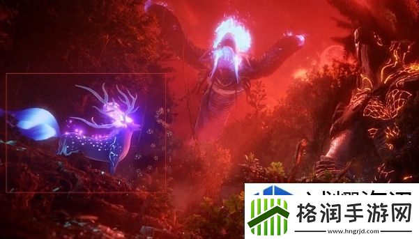参与赛事获取奖励