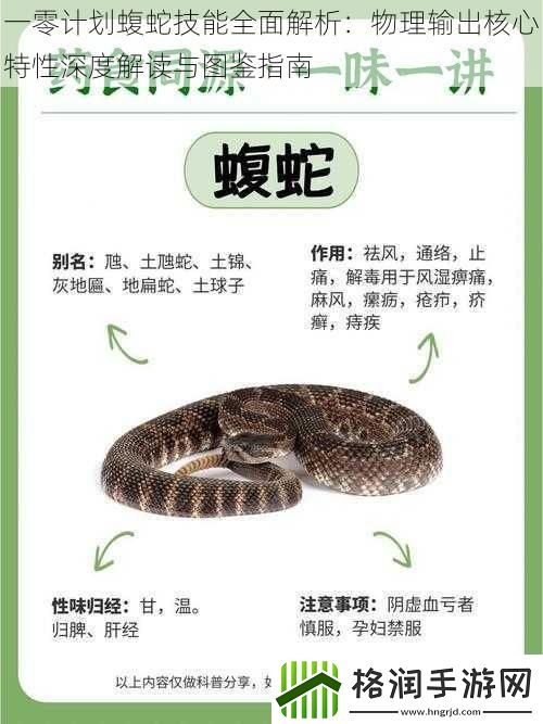 一零计划蝮蛇技能全面解析