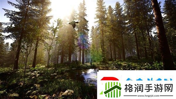 森林之子0正式版控制台代码有哪些