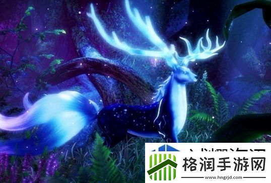 参与赛事获取奖励