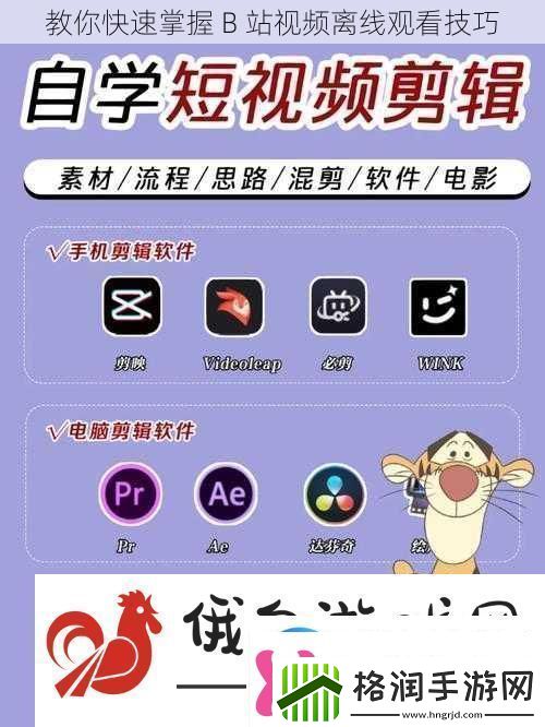 教你快速掌握B站离线观看技巧
