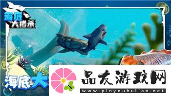 中土世界战争之影等级有什么用