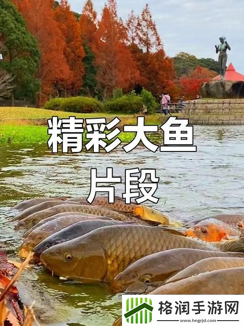 大鱼免费完整版视频引发热议