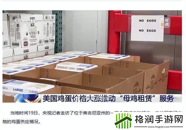 美蛋价飙升催热母鸡租赁