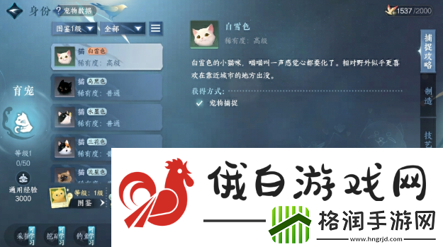 逆水寒手游育宠师怎么玩