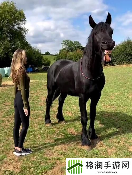 Zoom与人马性Zoom比较