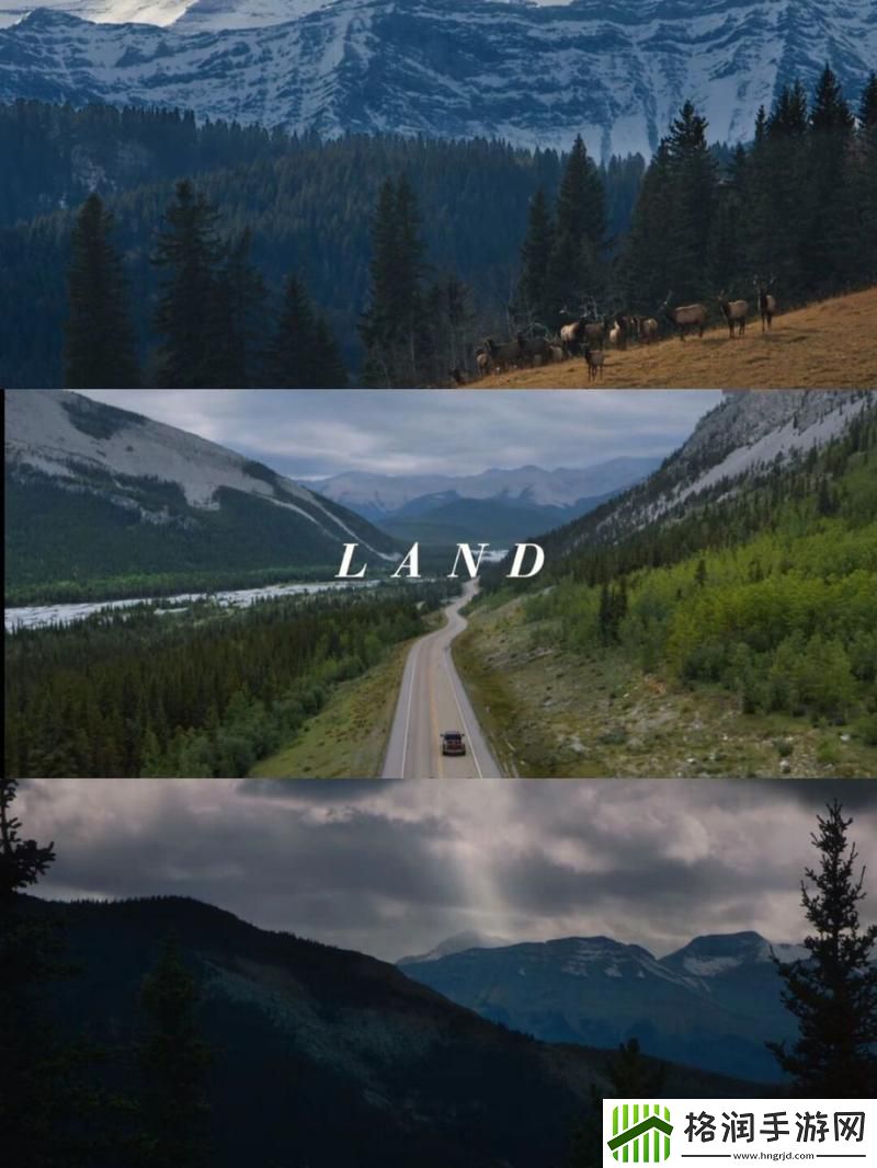 大地资源二中文在线影视免费观看