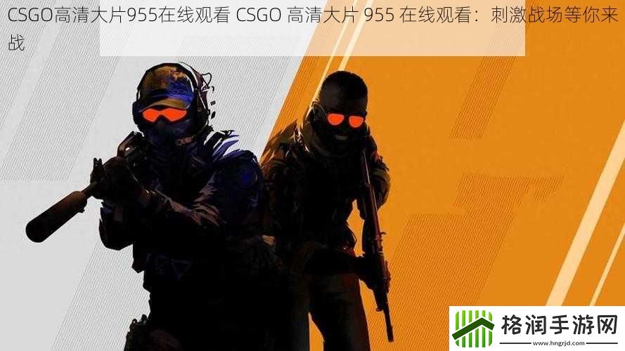 CSGO高清大片955在线观看