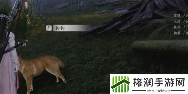 燕云十六声狗狗对话选择全解析