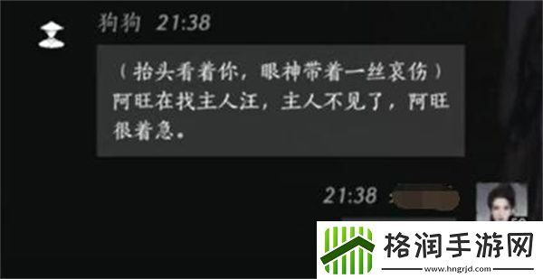 燕云十六声狗狗对话选择全解析