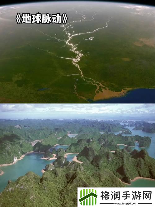 探索“b站免费必看的3000纪录片”