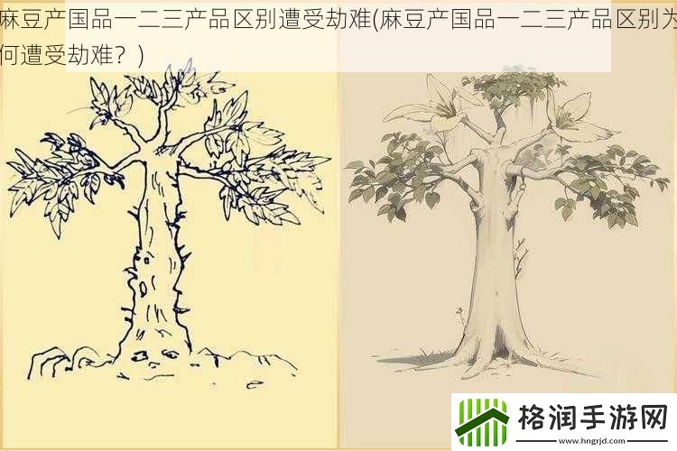 麻豆产国品一二三产品区别遭受劫难