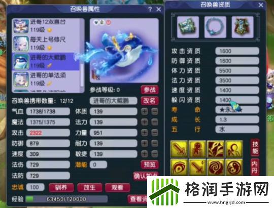 梦幻西游神威天宫神豪装备展示