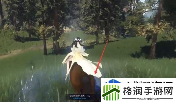 逆水寒手游捉猫记奇遇怎么做