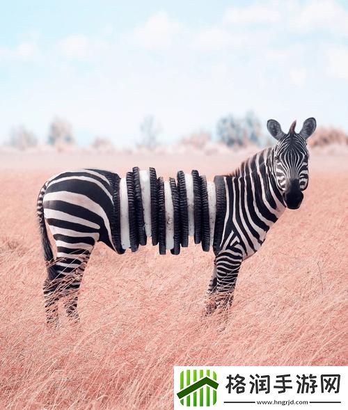 探寻最新的ZOOM动物马