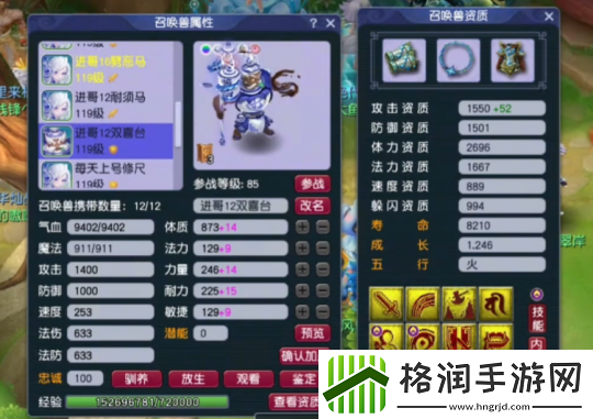 梦幻西游神威天宫神豪装备展示