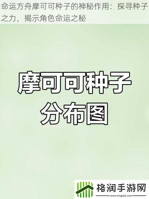 命运方舟摩可可种子的神秘作用