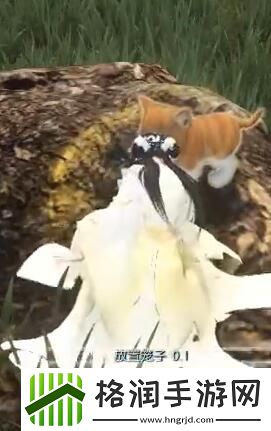 逆水寒手游捉猫记奇遇怎么做